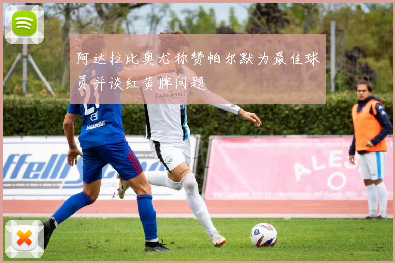 阿达拉比奥尤称赞帕尔默为最佳球员并谈红黄牌问题