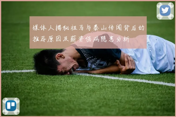 媒体人揭秘祖马与泰山传闻背后的推荐原因及薪资伤病隐患分析