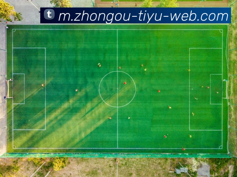 中欧体育APP 高清赛事图